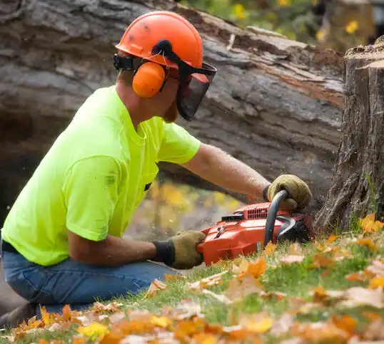 tree services Miller